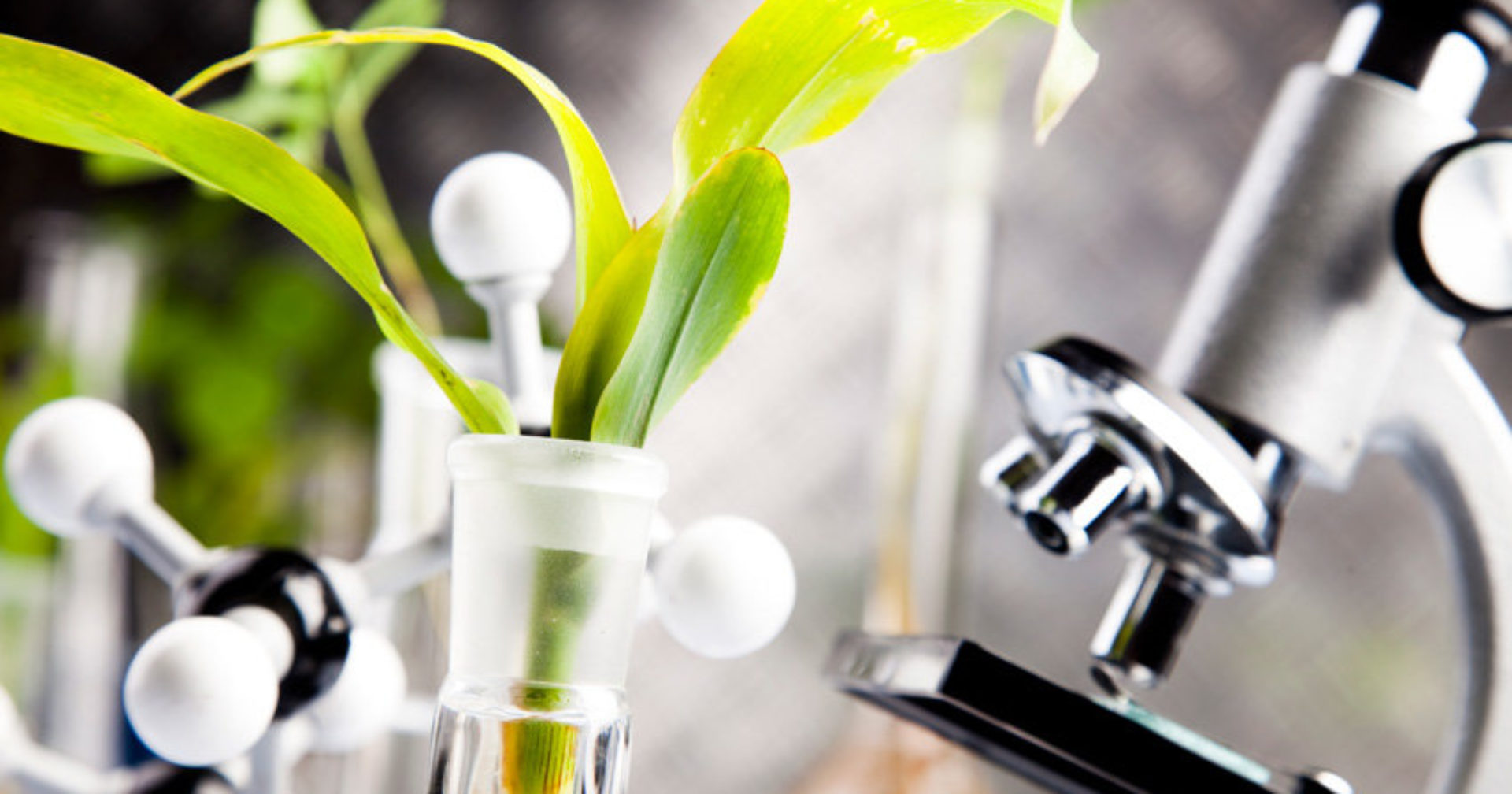 The Newest Agrotechnologies and Variety Studying